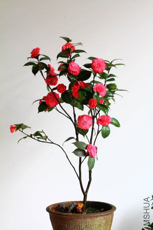 ��������.����.����.�軨 067+1.jpg