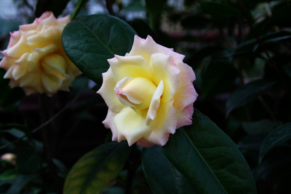 ��������.����.����.�軨 092+1.jpg