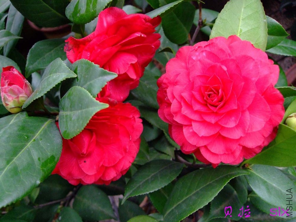 ����11-3-19f (2).jpg