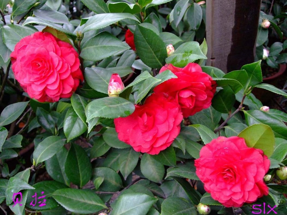 ����11-3-19f (5).jpg