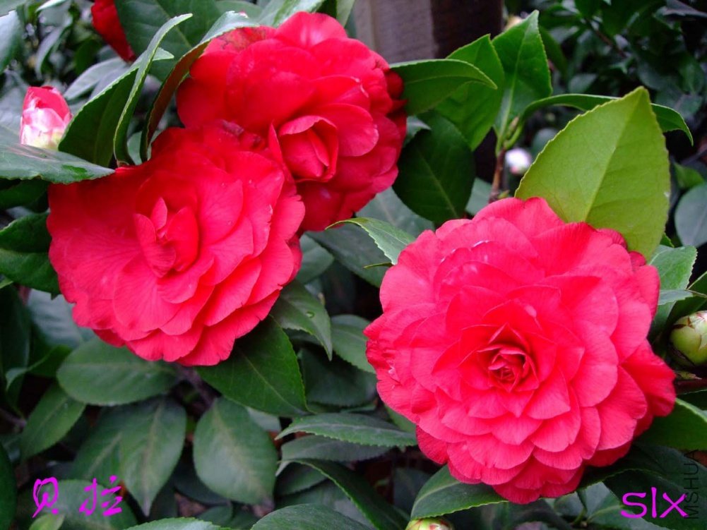 ����11-3-19f (3).jpg