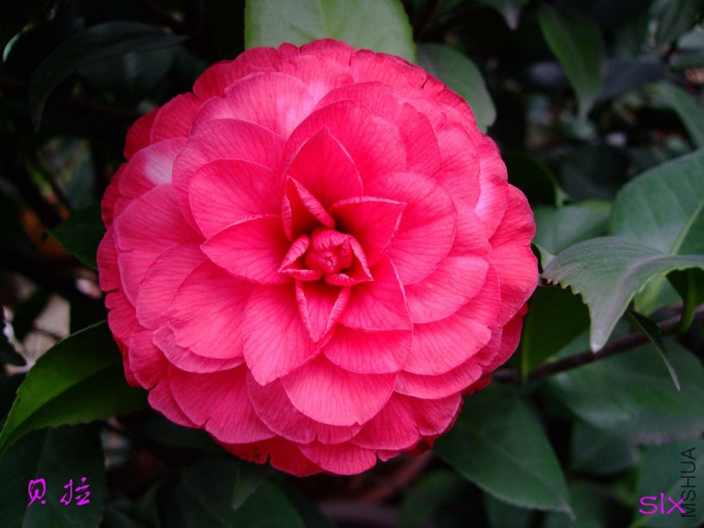 ����11-3-19f (4).jpg