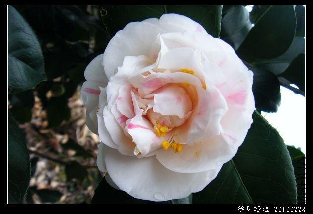 DSCF4559.JPG
