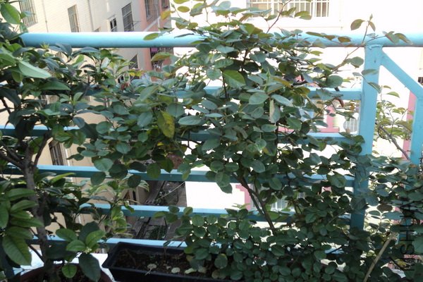 �����������¼�