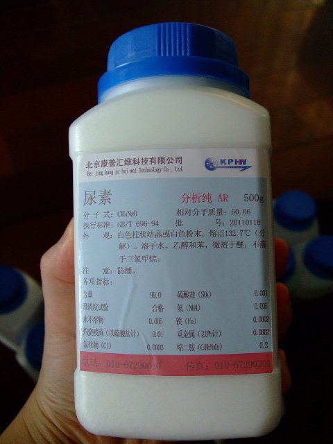 DSCF0413.JPG