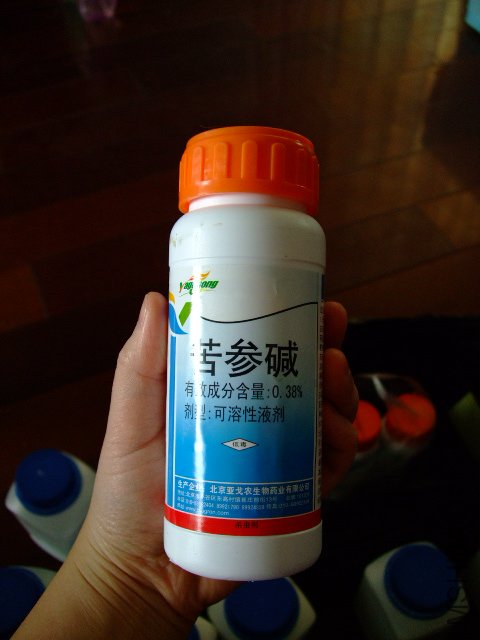 DSCF0418.JPG