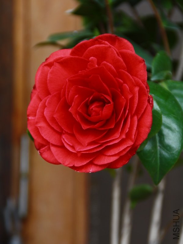 ��������.����.����.�軨 102+1.jpg