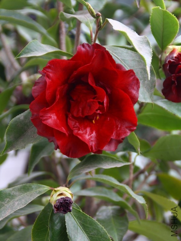 ��������.����.����.�軨 090+1.jpg