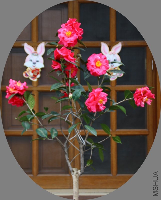 ��������.����.����.�軨 079+1.jpg