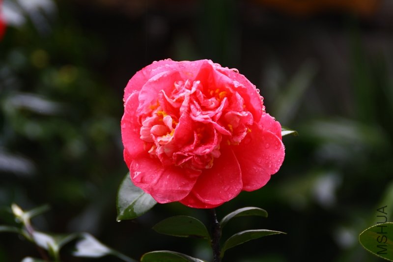 ��������.����.����.�軨 040.jpg