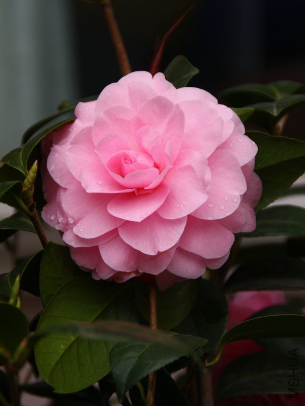 ��������.����.����.�軨 094+1.jpg