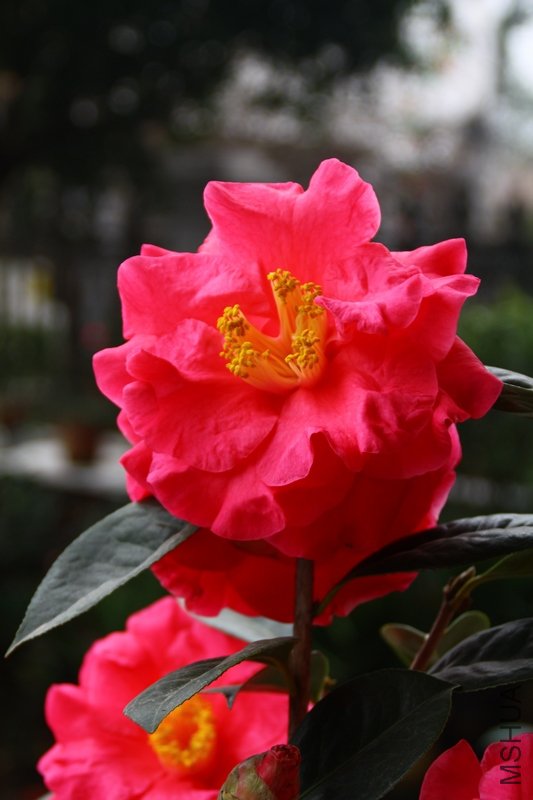 ��������.����.����.�軨 085+1.jpg