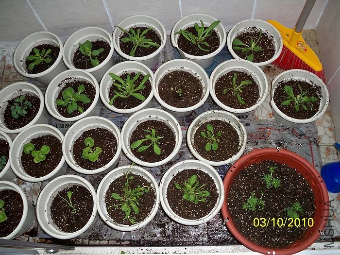 �����ݲ� 021.jpg