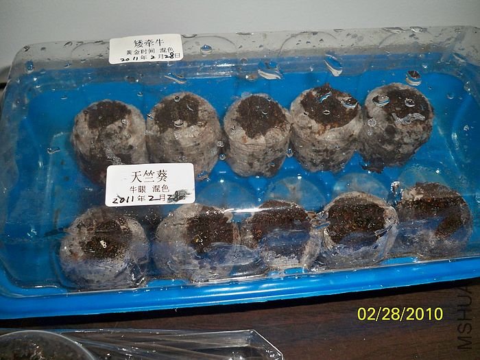 �����ݲ� 010.jpg