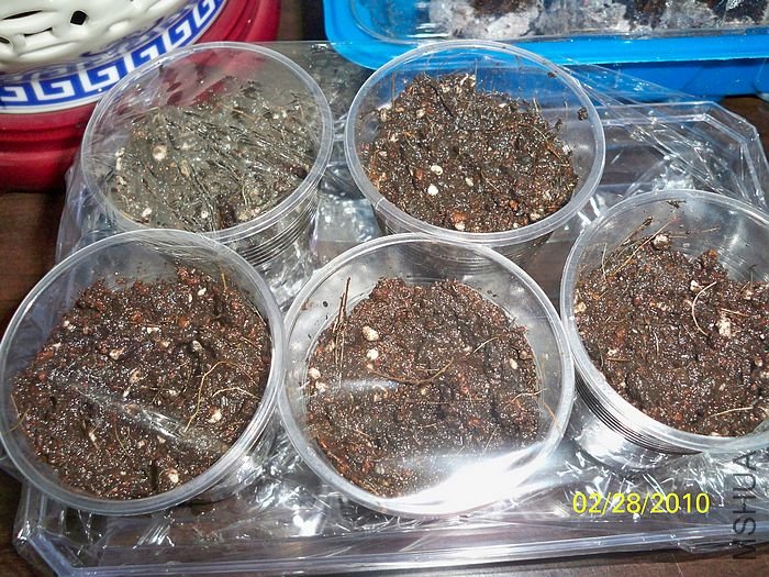 �����ݲ� 011.jpg