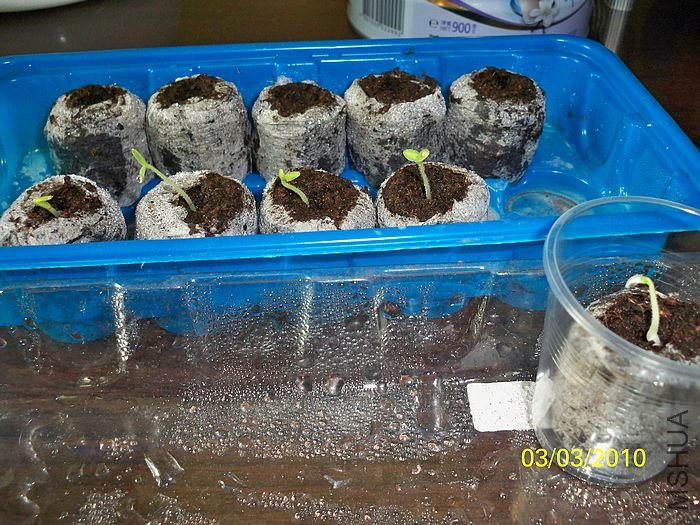 �����ݲ� 013.jpg