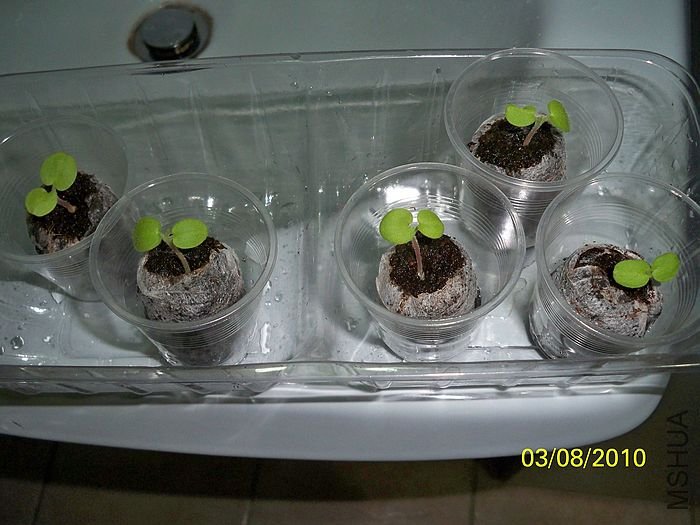 �����ݲ� 016.jpg