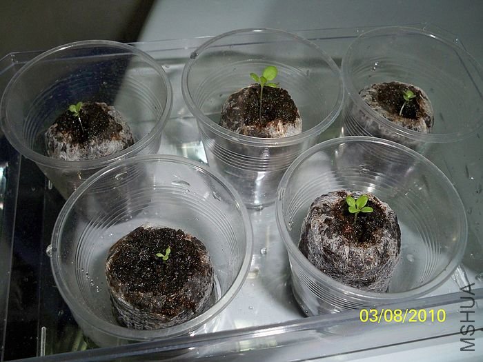 �����ݲ� 017.jpg