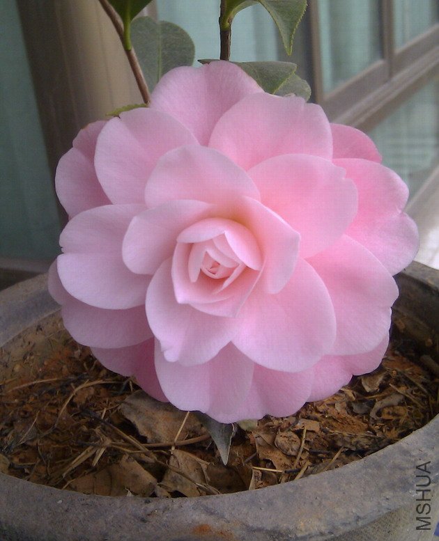 ���� IMAG0130.jpg