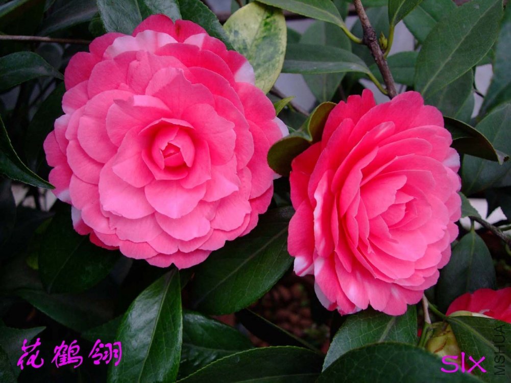 ������11-3-20f (1).jpg