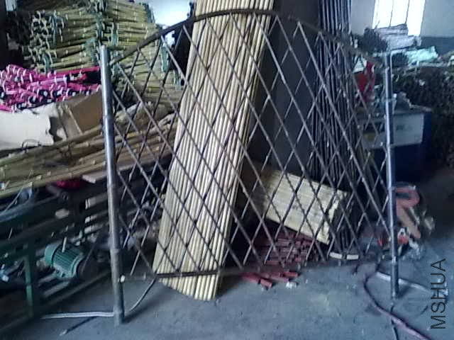 20110319410.jpg