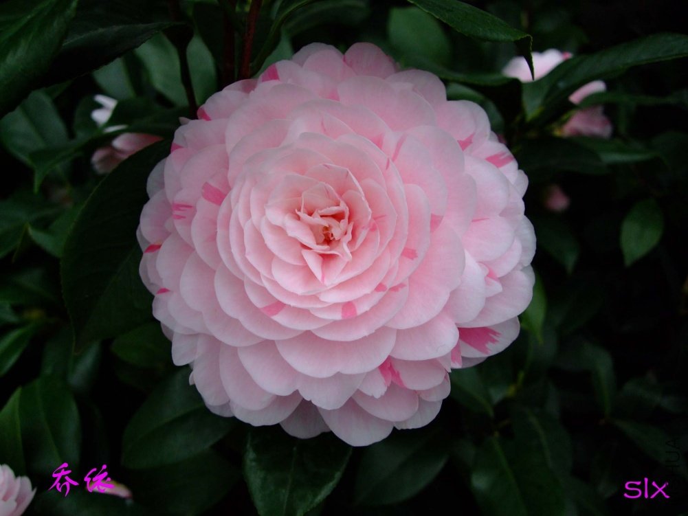 ����11-3-20f (2).jpg