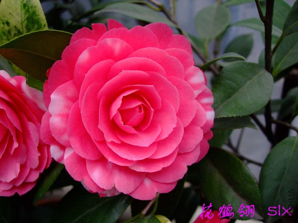 ������11-3-20f (2).jpg