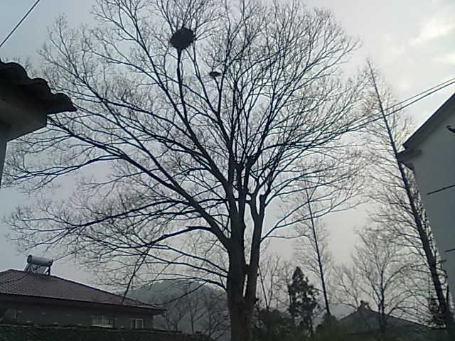 20110319412.jpg
