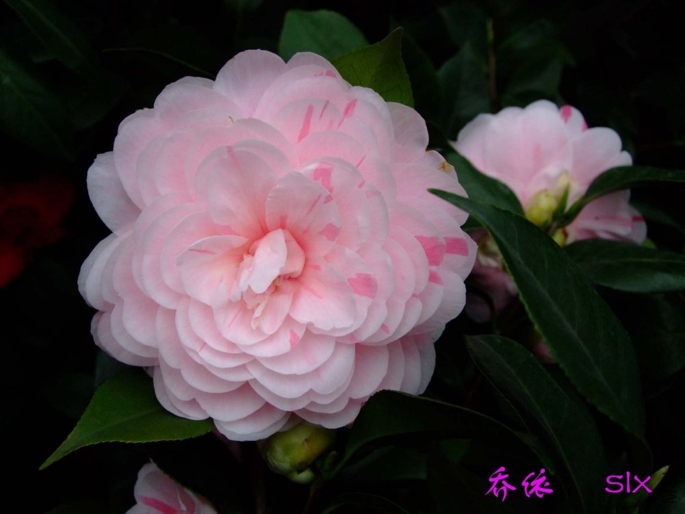 ����11-3-20f (4).jpg