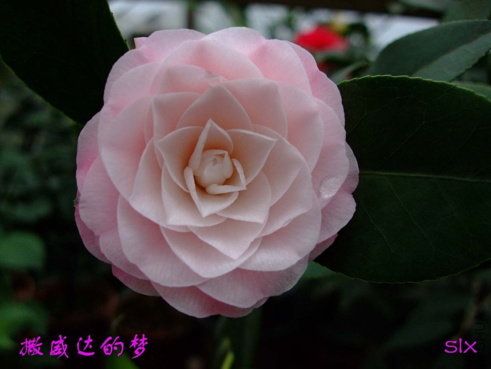 ���������11-3-20f (2).jpg