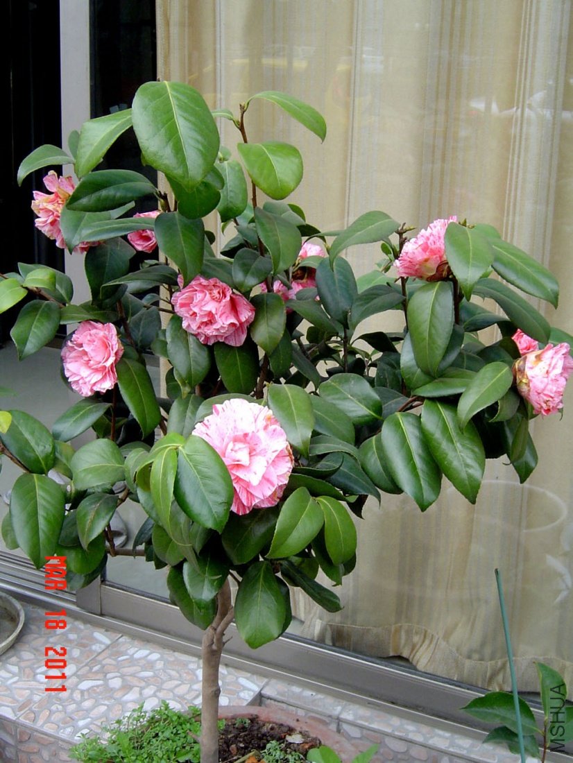 DSC00627.JPG