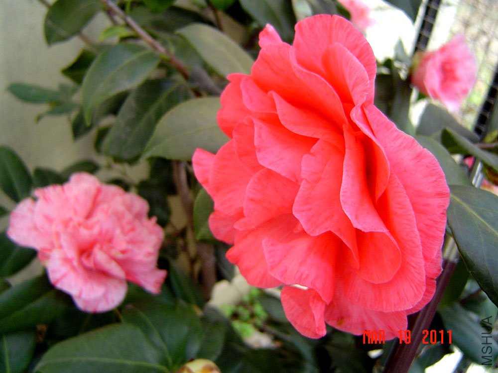 DSC00637.JPG