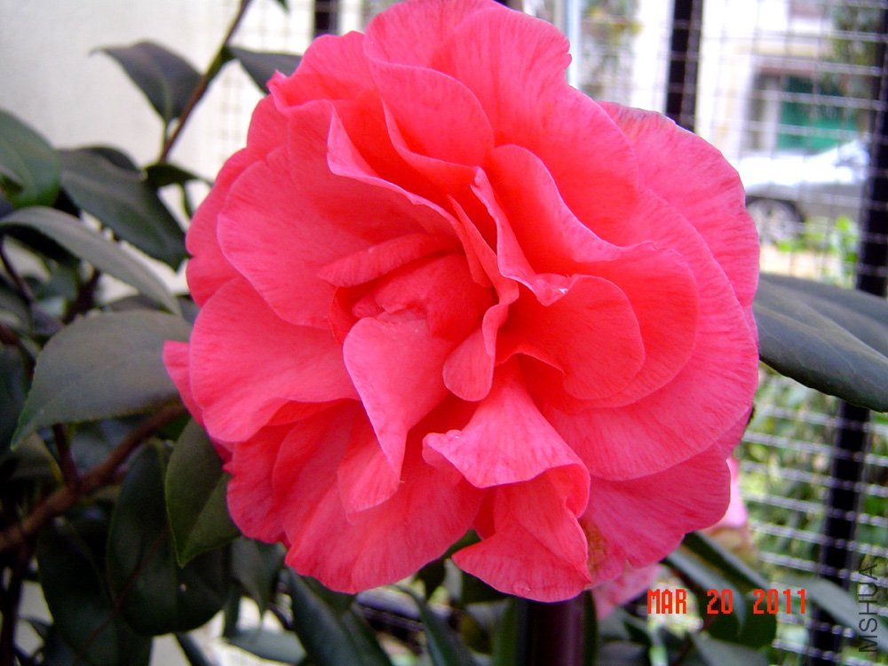 DSC00649.jpg