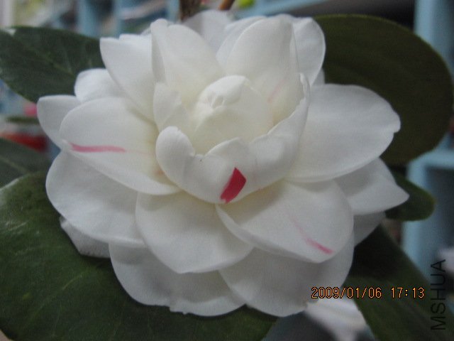 ��Ƭ 084.jpg