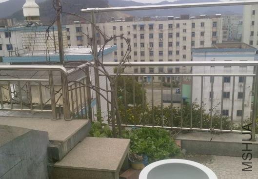 ɽ���ڵ�����