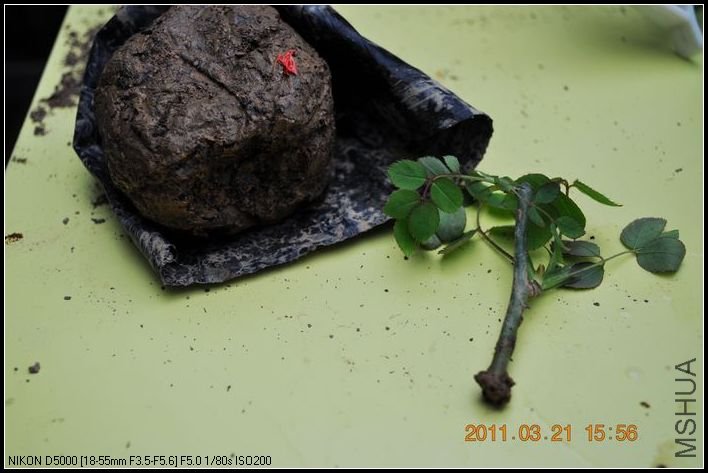 ��������ʱ��û��һ���ϵ����