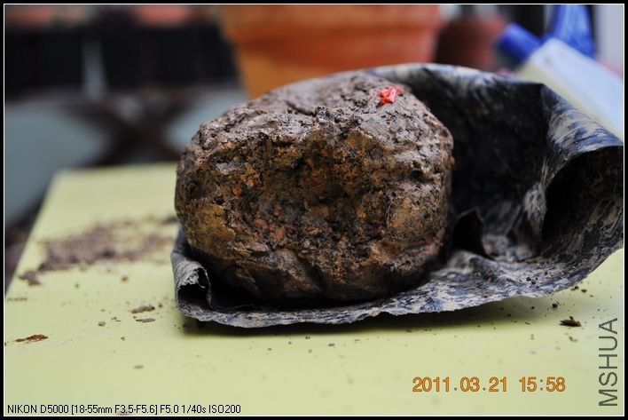 ԭ������Ҳ�ɸɾ�����û��һ���ϵ�����Ű���ȥ�ĵط�����ԭ����ĸ���