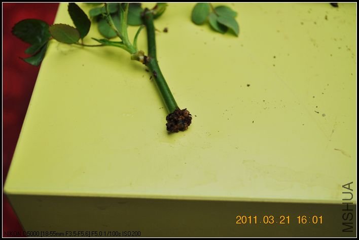 ϴ�ɾ����磬����û�����ʵĸ�ϵ���Ѻۼ�