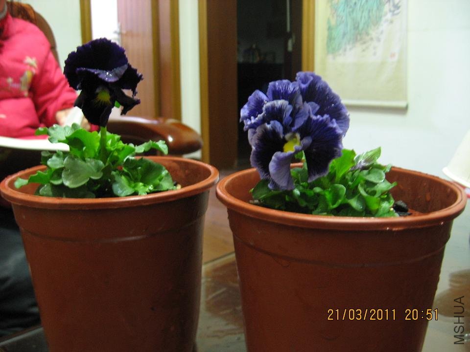 201103 016.jpg