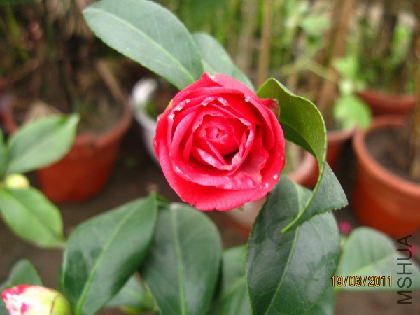 IMG_0165.JPG
