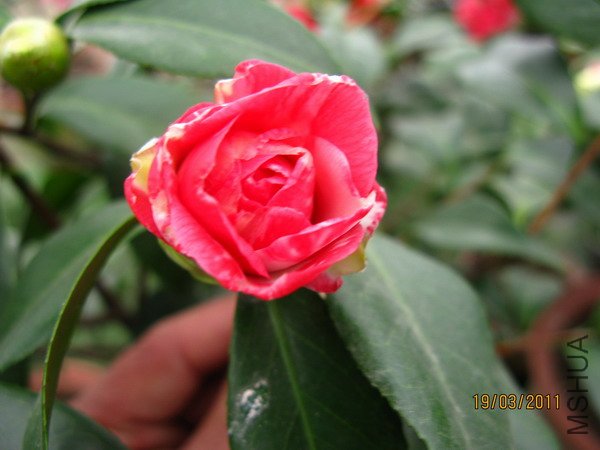 IMG_0163.JPG