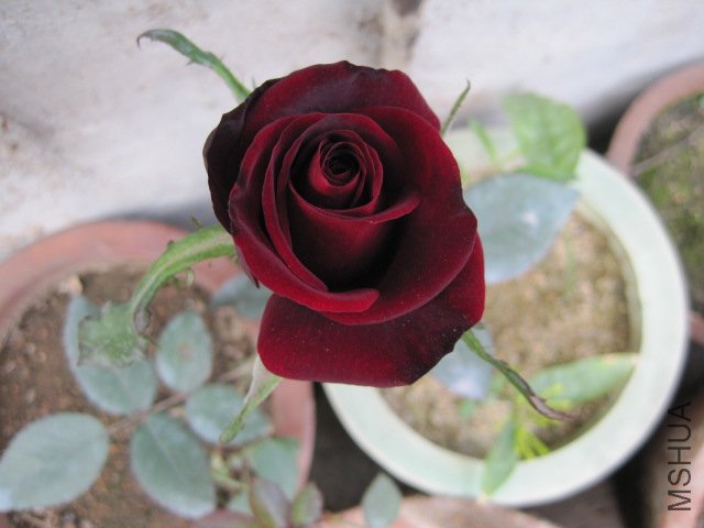 ��Ƭ 015.jpg