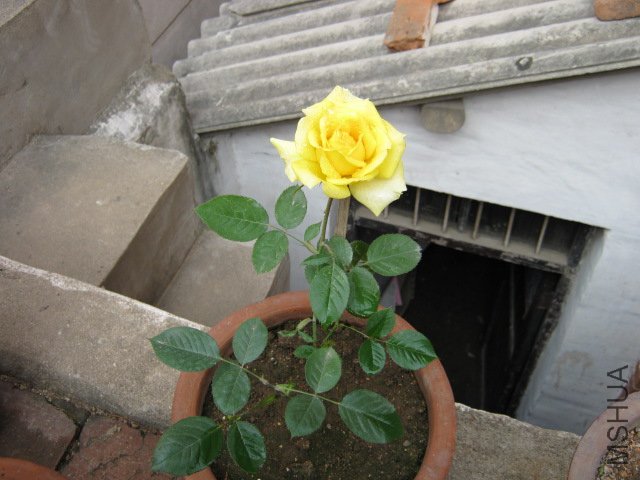 IMG_0020.JPG