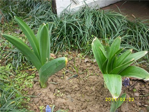 �󻨴У�����������ڴ�