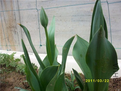 �������л�����