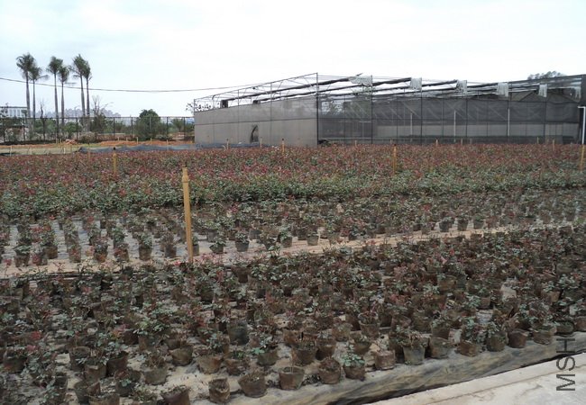 ��Ƭ 111_������С.jpg