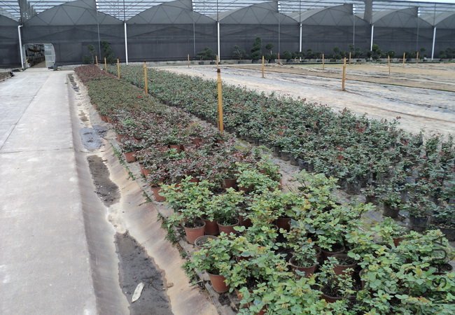 ��Ƭ 112_������С.jpg