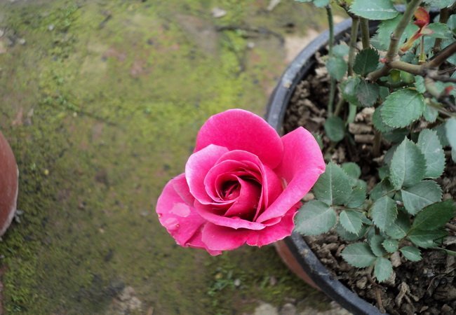 ��Ƭ 119_������С.jpg