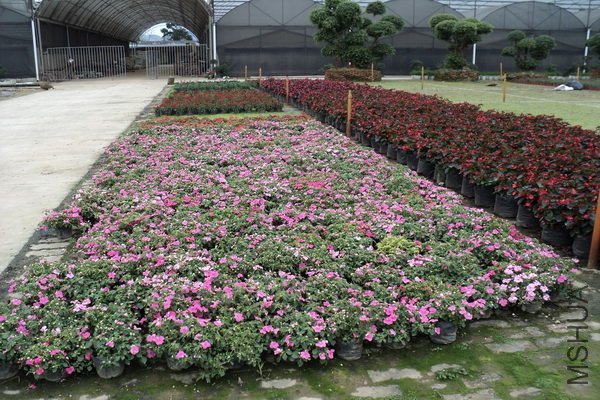 ��Ƭ 116_������С.jpg