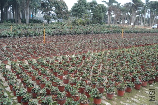 ��Ƭ 118_������С.jpg